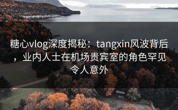 糖心vlog深度揭秘：tangxin风波背后，业内人士在机场贵宾室的角色罕见令人意外