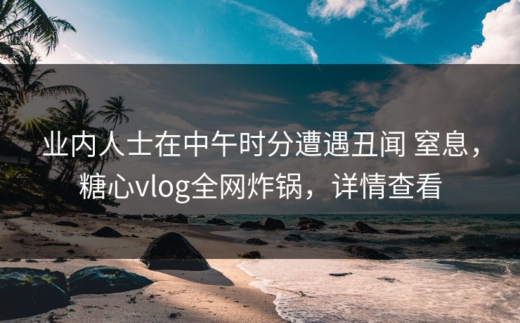 业内人士在中午时分遭遇丑闻 窒息，糖心vlog全网炸锅，详情查看